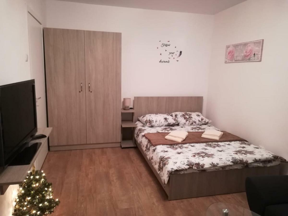 Appartamento Zorilor Studio *